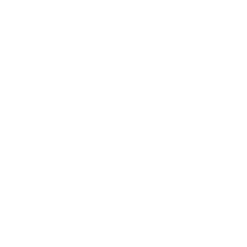 logo-vansfer-branco